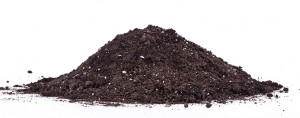 Soil mound