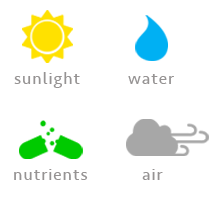 Sunlight, Water, Nutrients and Air Graphic for Revolution Soil Surfactant