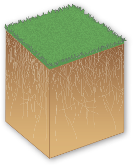 Revolution Soil Surfactant Turf Building block