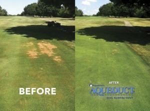 Before and After. Aqueduct, Rapid Recovery Soil Surfactant for Localized Dry Spot