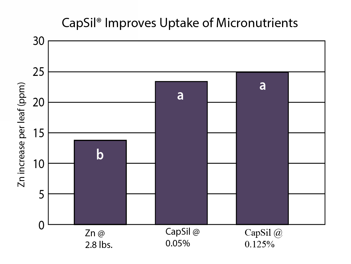 Zn increase per leaf graph. CapSil improves Uptake of Micronutrients