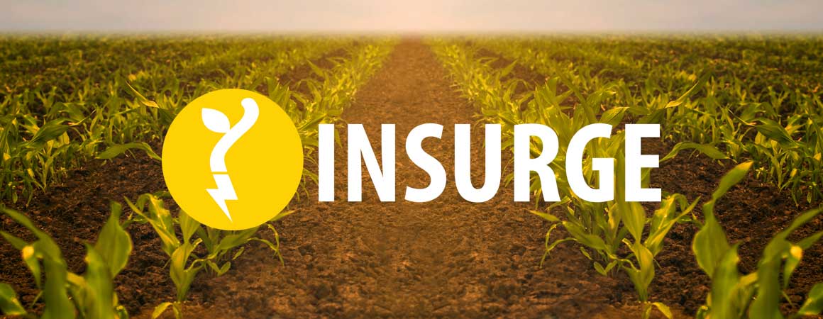 InSurge Logo on a field of crops