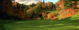 Golf course during the fall season